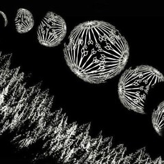 סגלית סנה בסטקר