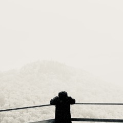 y mute