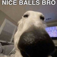😳