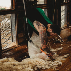 Aidan Mansbridge