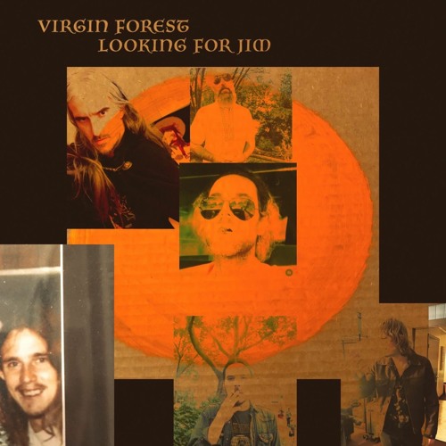 Virgin Forest’s avatar