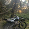 camlew04