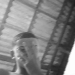 Felipetrem7