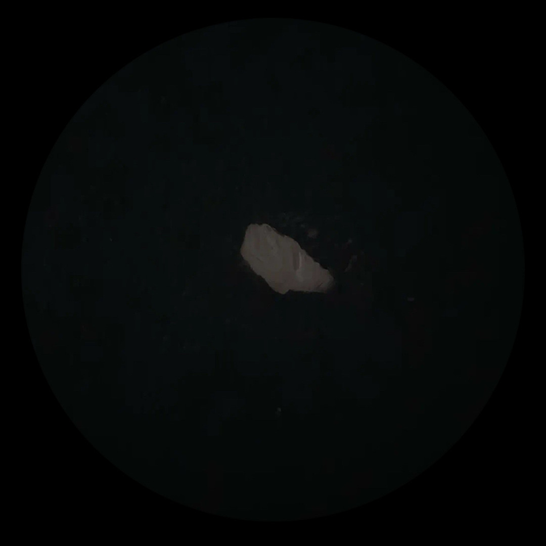 Ale0’s avatar