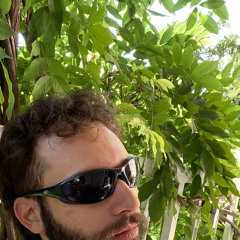 Alvise Piovesan