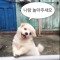 박찬