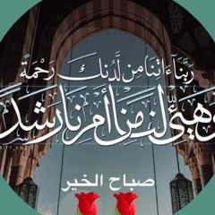 Mahmoud Afifi