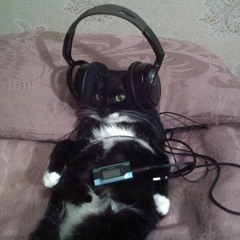 That one cat