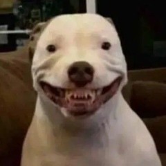 he_doesn'tbite