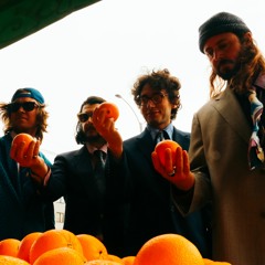 Tom Conneely & Birds of Paradise