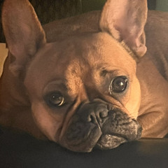 Эля Абдульмянова