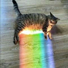 User 42069