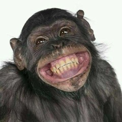 NONSTOP DJ THÁI HOÀNG 2025 - TIMEBOMB FT HAVANA (THÁI HOÀNG REMIX - FULL TRACK NHẠC KE THÁI HOÀNG -