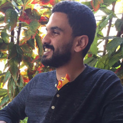 Mohamed A. Shehata