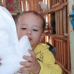 Doaa Shaban