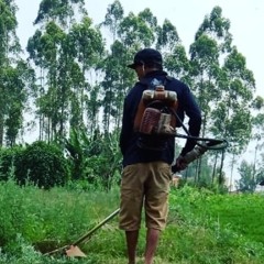 kadur