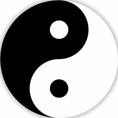 MR.YIN-YANG