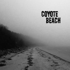Coyote Beach