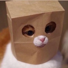 Yom