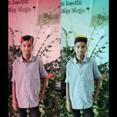 Gullu King