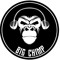 Big Chimp