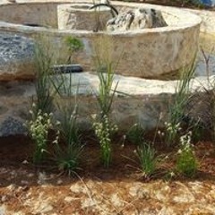 אליאור חרזי