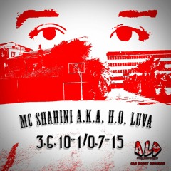 MC Shahini-Hipokondrobsessive Luva