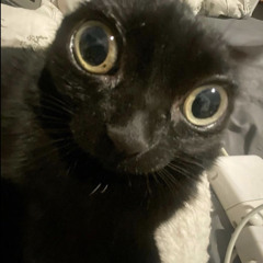 그런너때문에세상을뒤집어버리고싶었