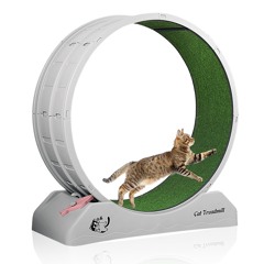 ふわけ / momdadmefriends