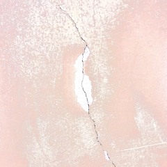 Raw Skin Textile