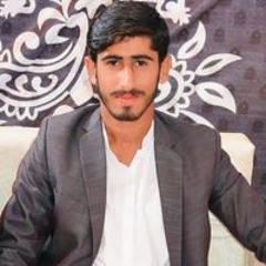 Ashraf Jamali