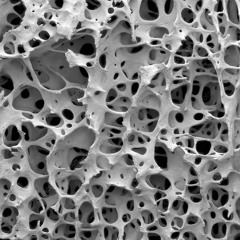 how to wear someone's skin