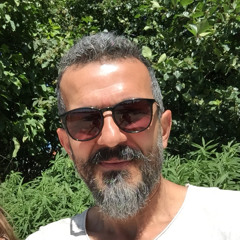 Mickael Sadri