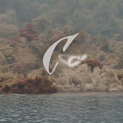 Creedence Collective