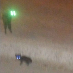 نات-😂رْْ   س