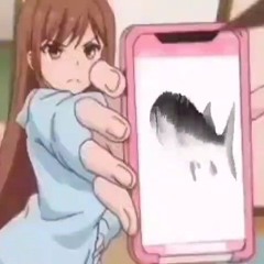 please don't follow me