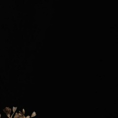 مريَم طارق