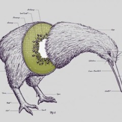 kiwi king