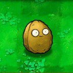 wall-nut