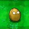 wall-nut