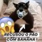 Fi do biu 22