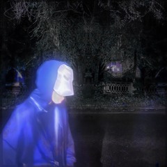 PFM 3vogga