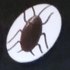 Roach Pin