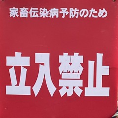 STIILヤ