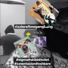 shinexxx