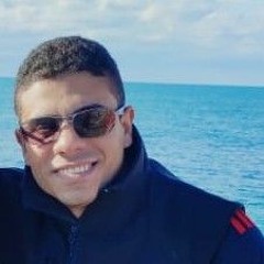 essam elattar