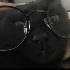 Mateo