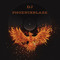 DJ PhoenixBlaze
