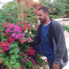 حمدي علي
