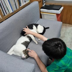 라이언